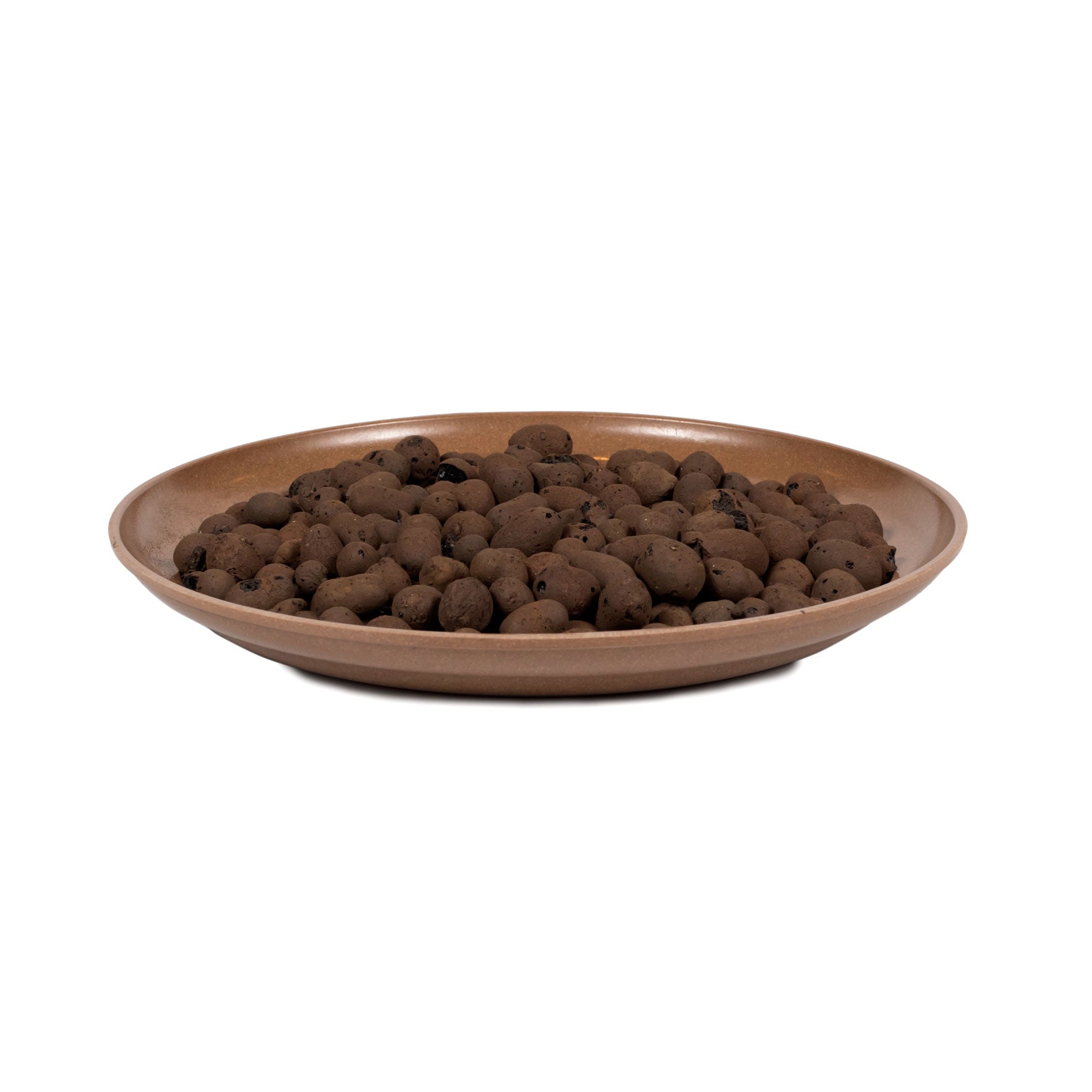 1 Gallon Terracota
